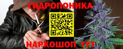 молекула духа Можайск